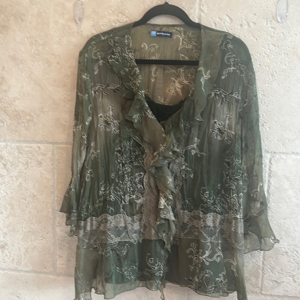 Beautiful sheer Pennington’s blouse, size 24